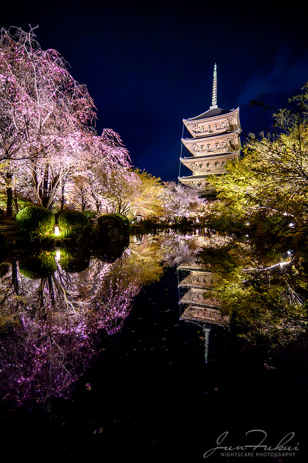 東寺 ナイトスケープ