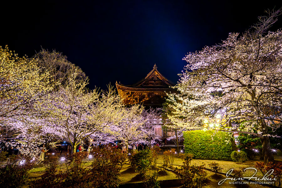 東寺 ナイトスケープ