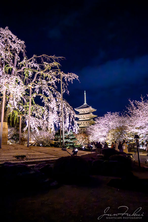 東寺 ナイトスケープ