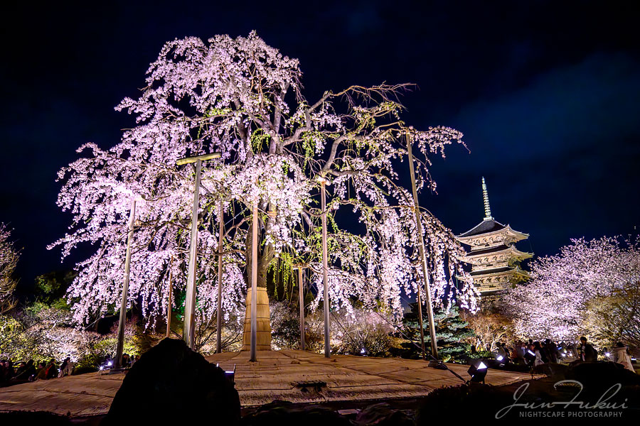 東寺 ナイトスケープ