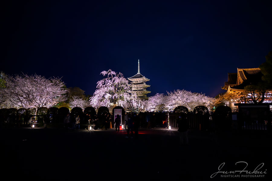 東寺 ナイトスケープ