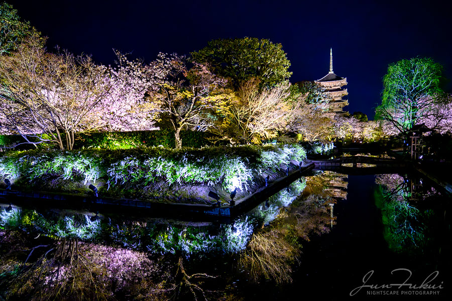 東寺 ナイトスケープ