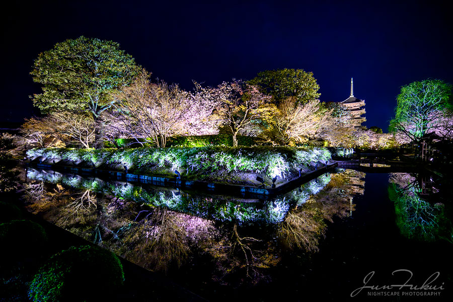 東寺 ナイトスケープ