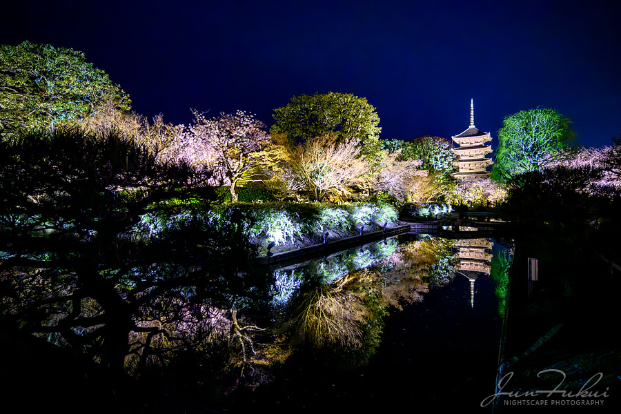 東寺 ナイトスケープ