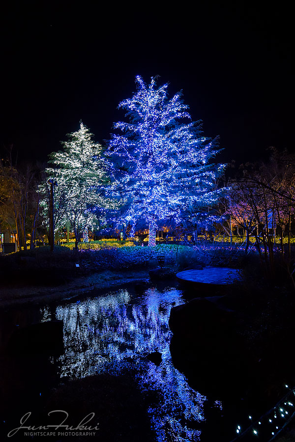 ななばの里 イルミネーション