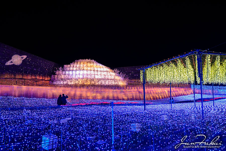 ななばの里 イルミネーション