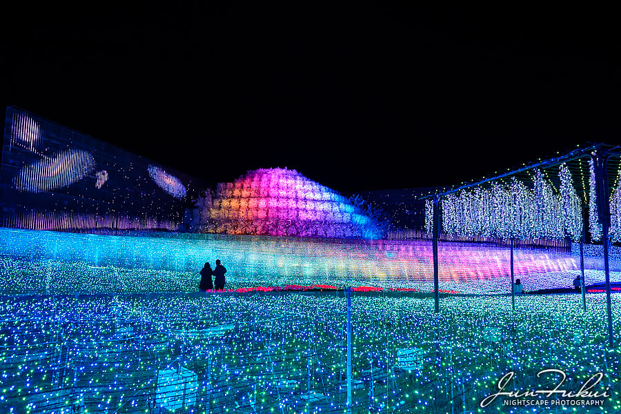 ななばの里 イルミネーション