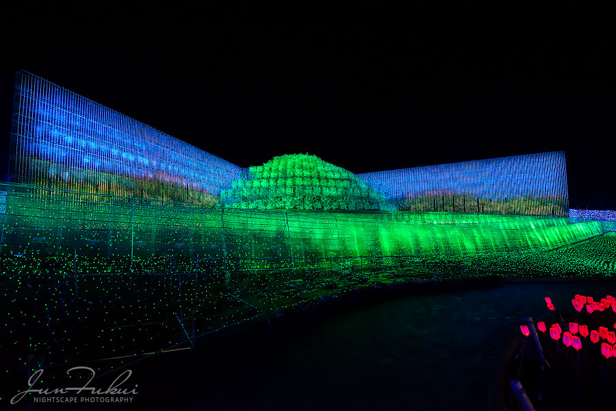 ななばの里 イルミネーション