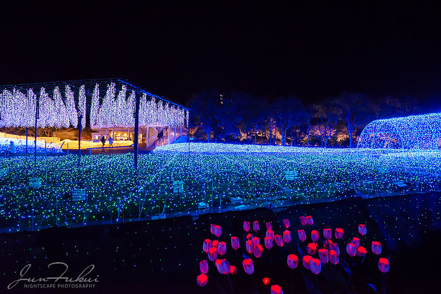ななばの里 イルミネーション