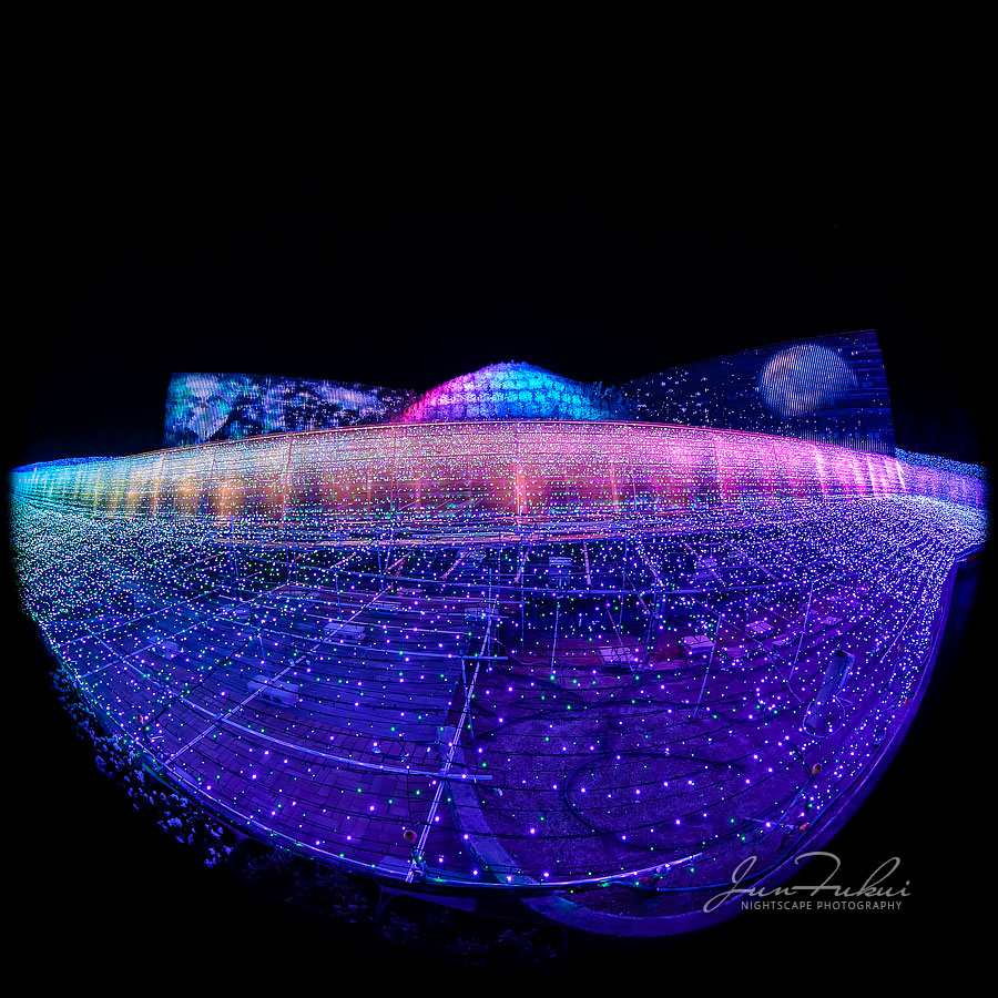 ななばの里 イルミネーション