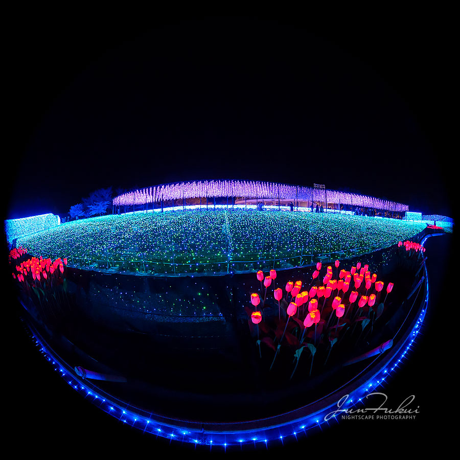 ななばの里 イルミネーション