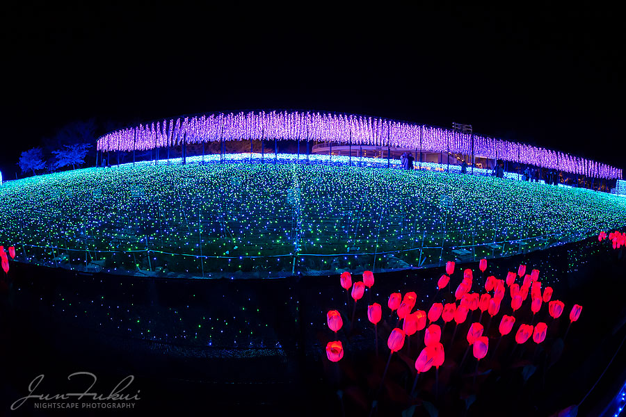 ななばの里 イルミネーション