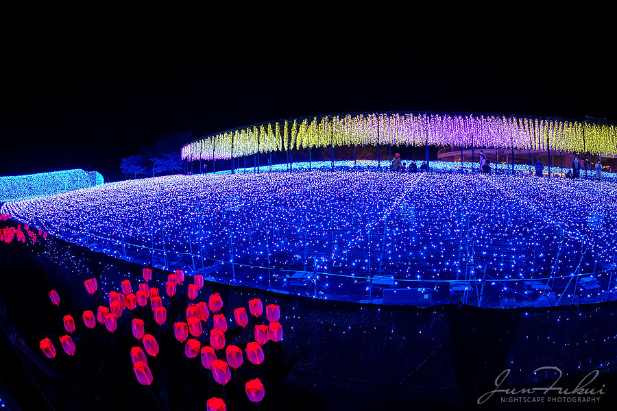 ななばの里 イルミネーション