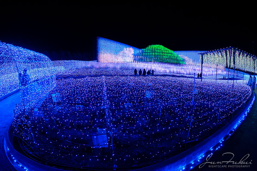 ななばの里 イルミネーション