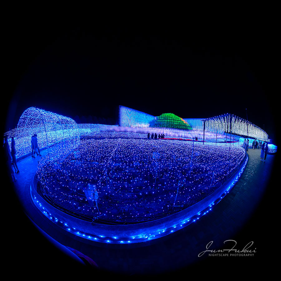 ななばの里 イルミネーション