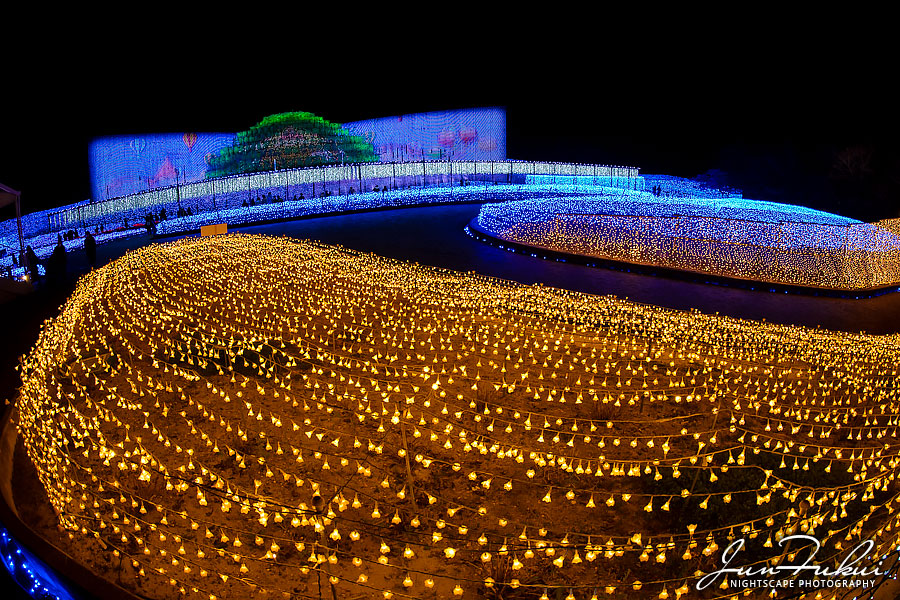 ななばの里 イルミネーション