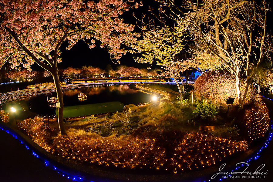 ななばの里 イルミネーション