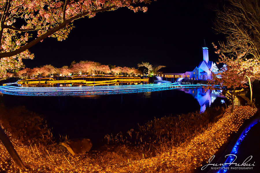ななばの里 イルミネーション