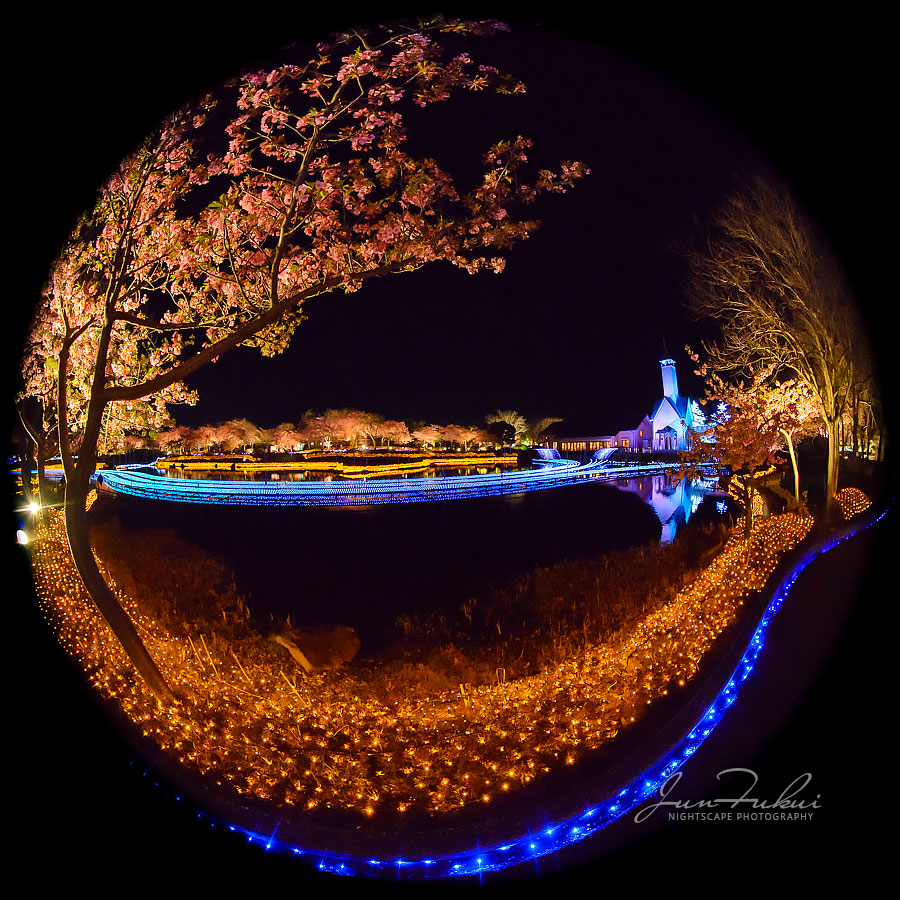 ななばの里 イルミネーション