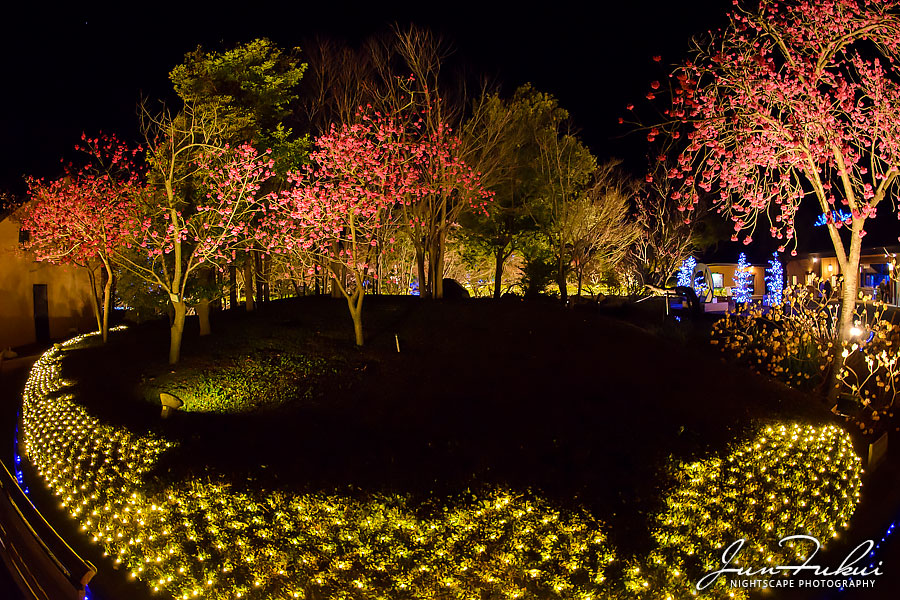 ななばの里 イルミネーション