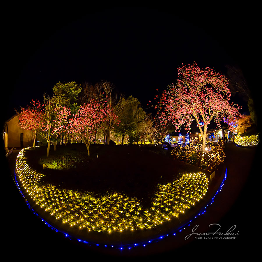 ななばの里 イルミネーション