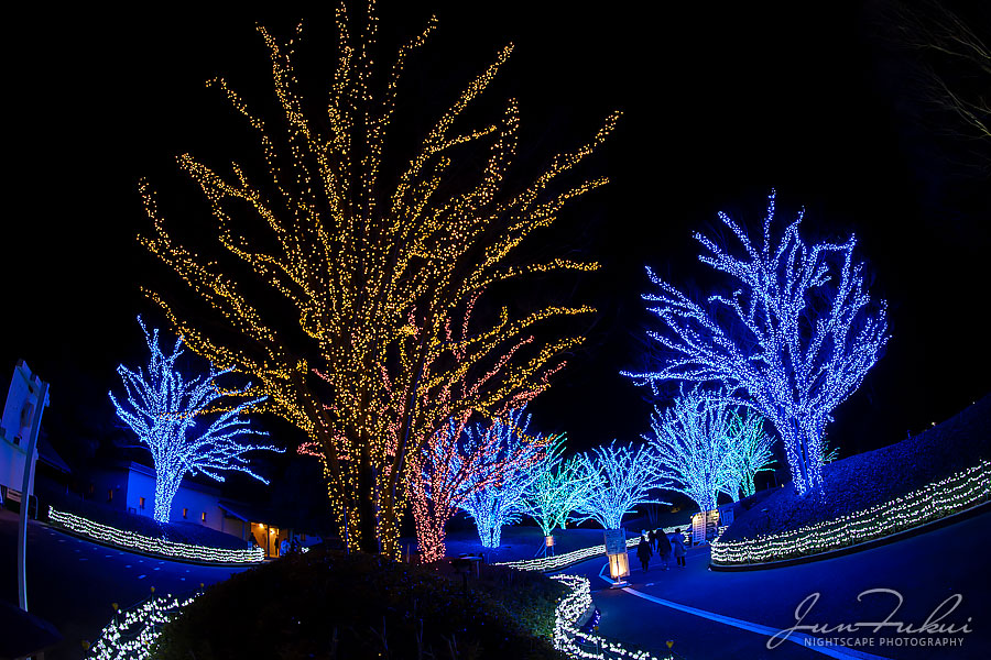 ななばの里 イルミネーション