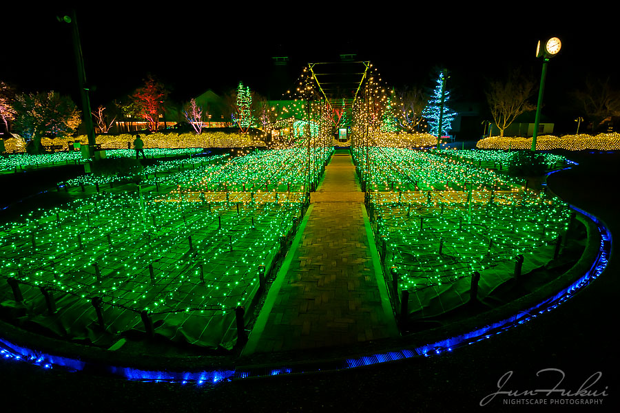 ななばの里 イルミネーション