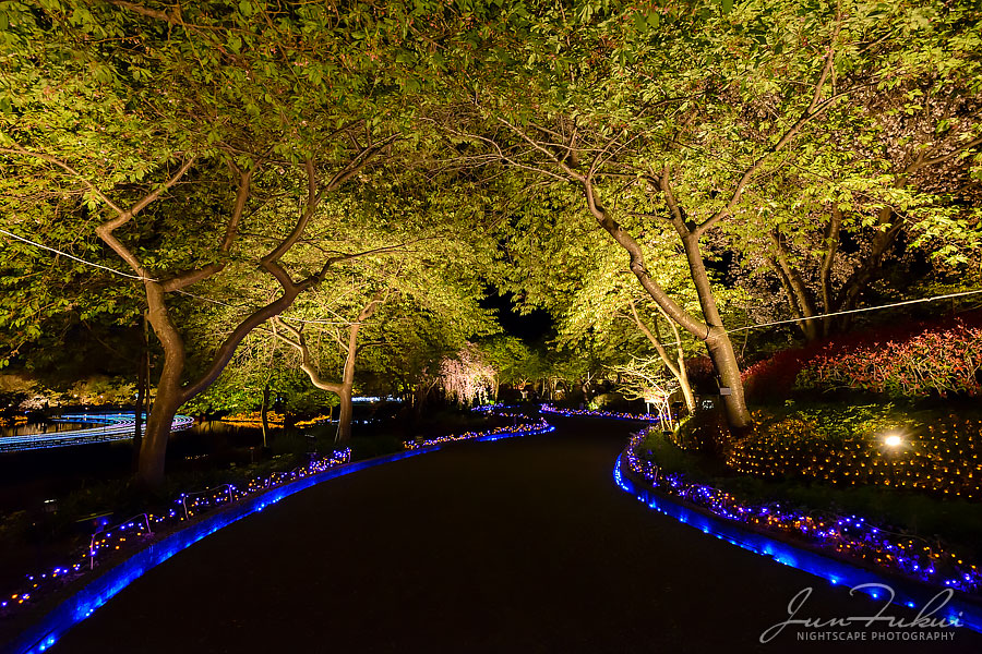 ななばの里 イルミネーション