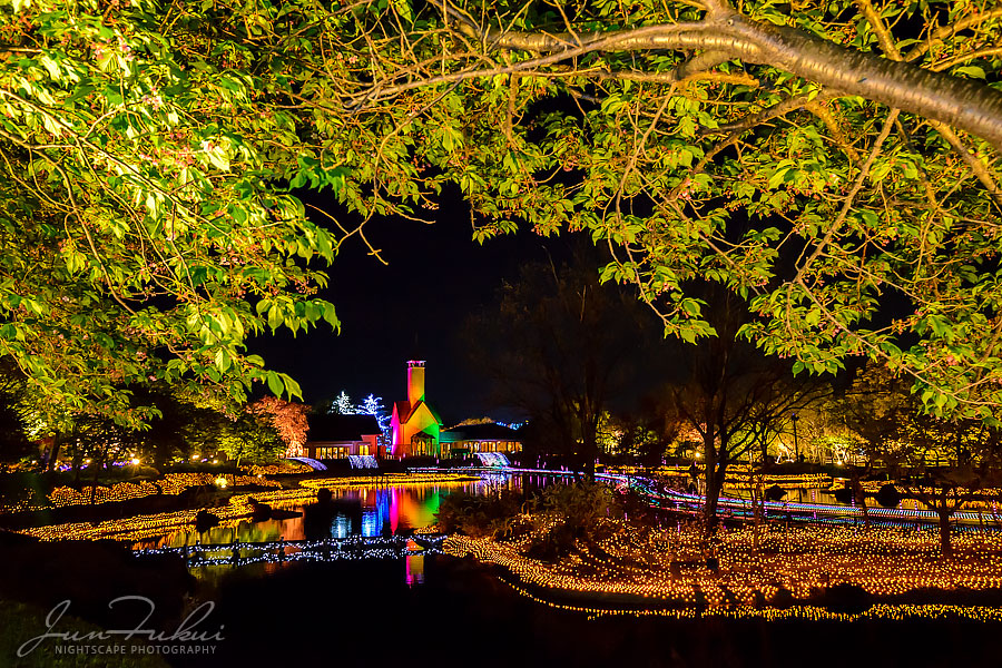 ななばの里 イルミネーション