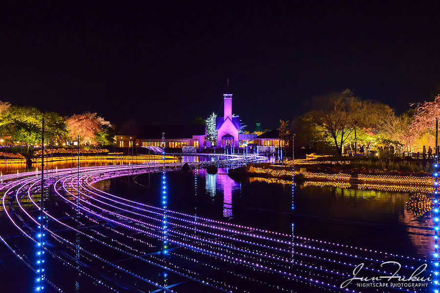 ななばの里 イルミネーション