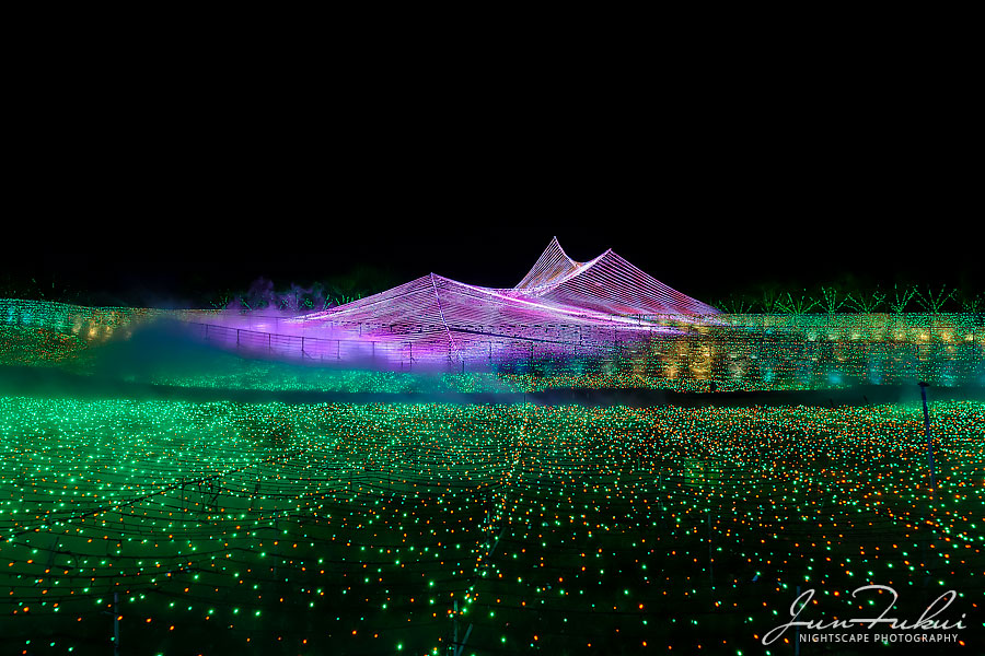 ななばの里 イルミネーション