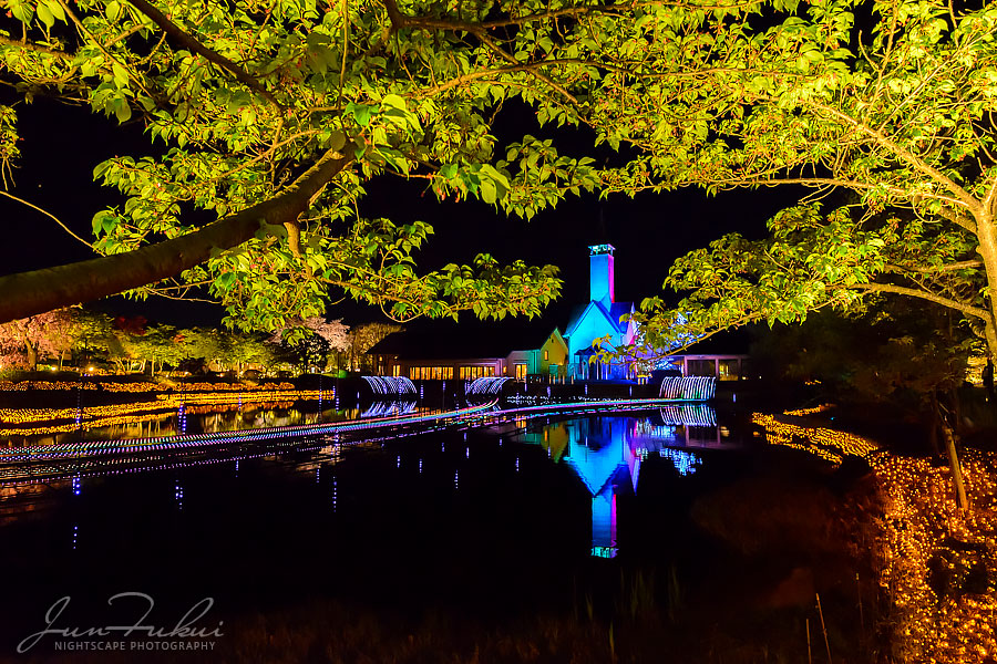 ななばの里 イルミネーション