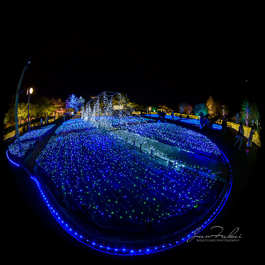 ななばの里 イルミネーション