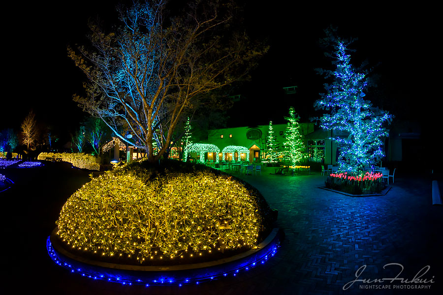 ななばの里 イルミネーション