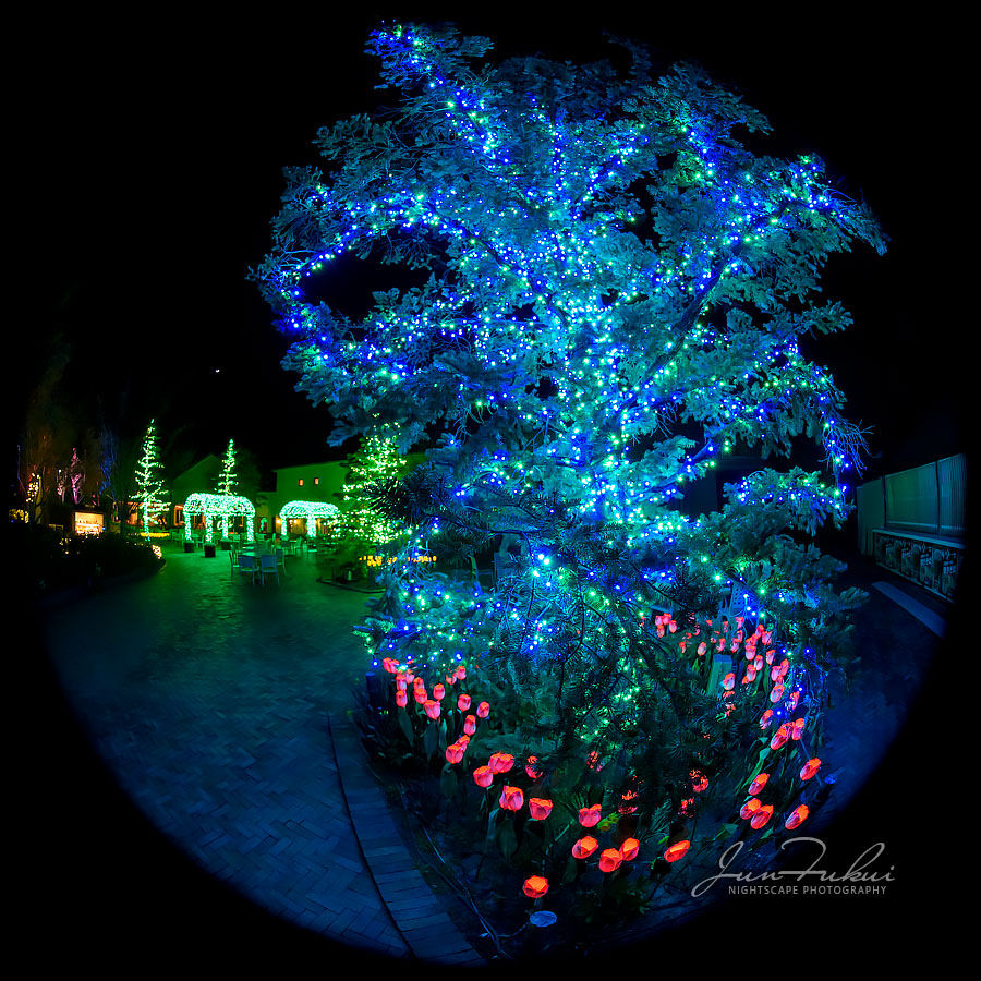 ななばの里 イルミネーション