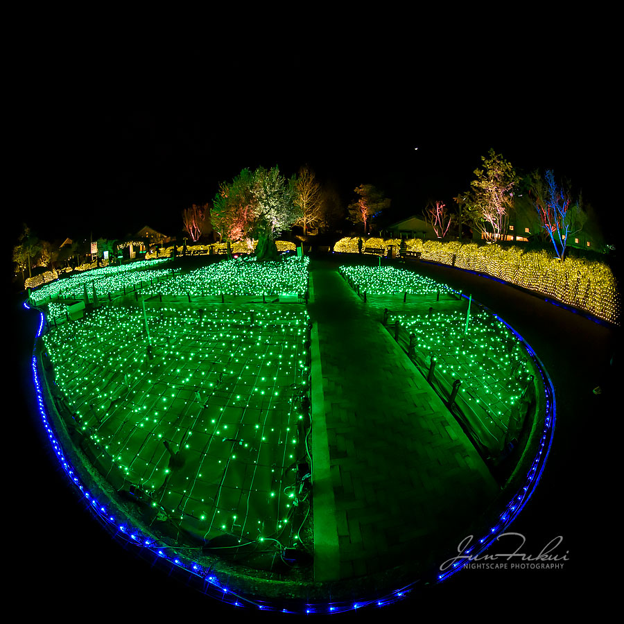 ななばの里 イルミネーション