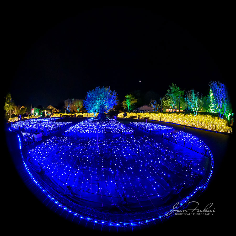 ななばの里 イルミネーション