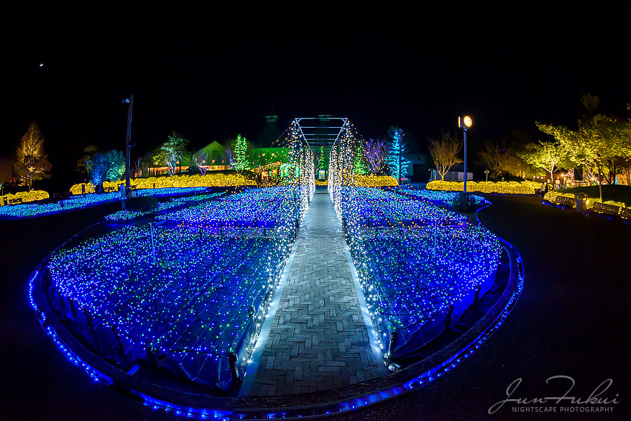 ななばの里 イルミネーション