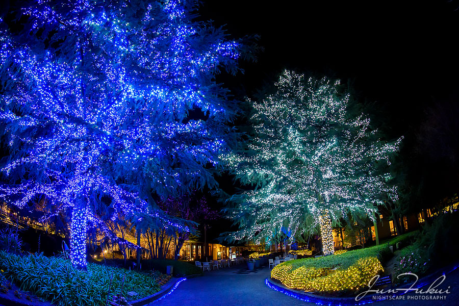 ななばの里 イルミネーション