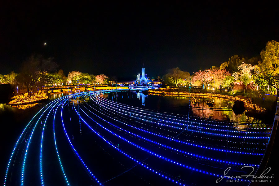 ななばの里 イルミネーション