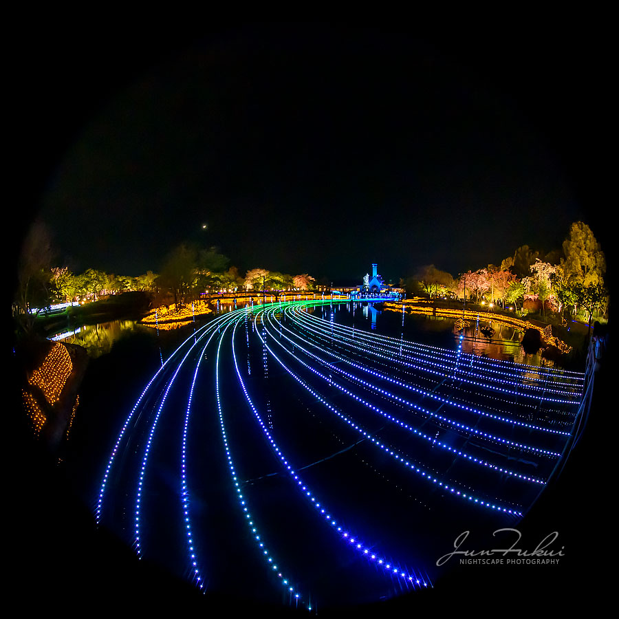 ななばの里 イルミネーション