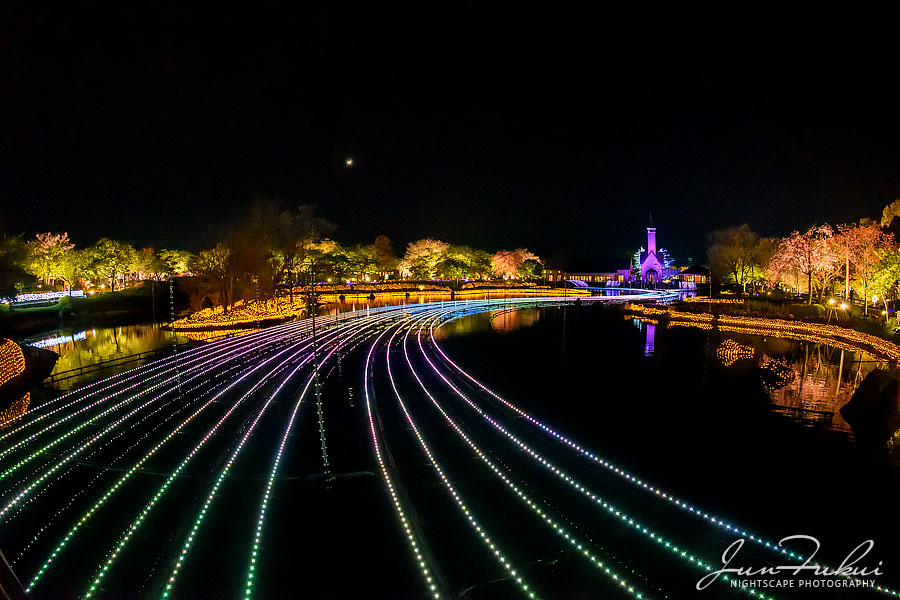 ななばの里 イルミネーション