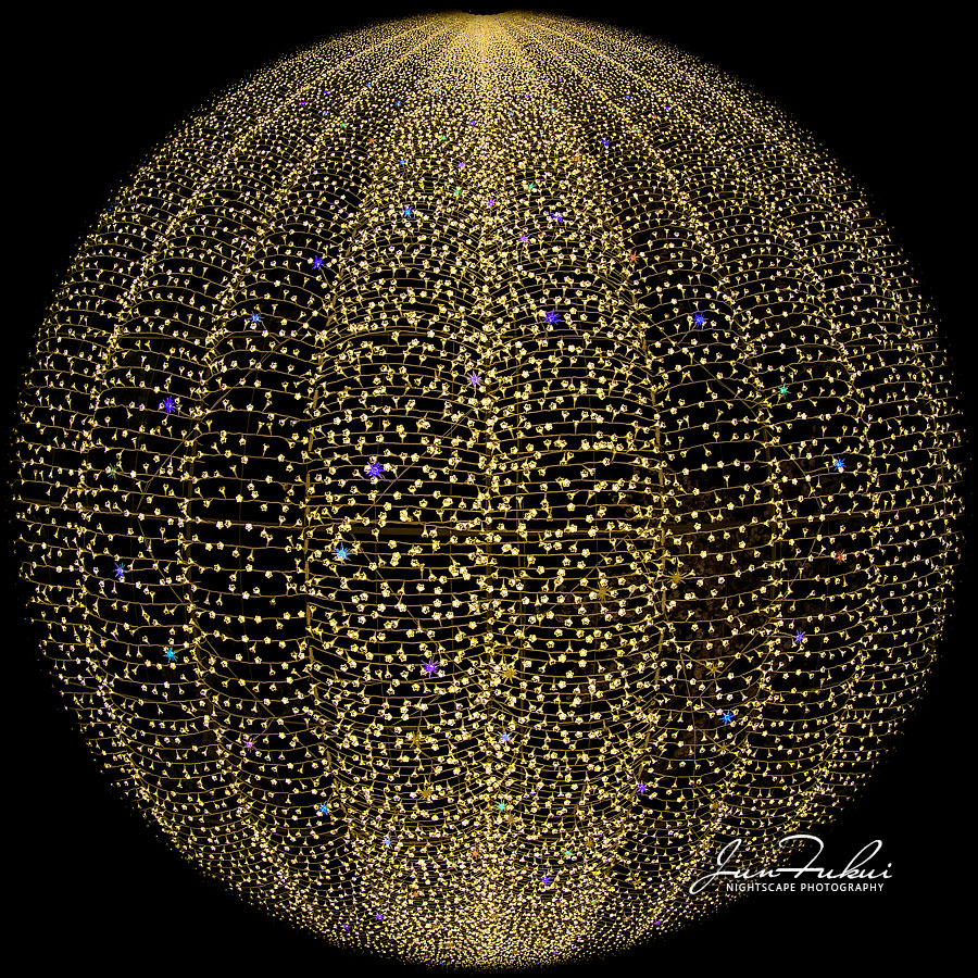 ななばの里 イルミネーション