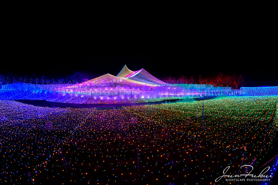 ななばの里 イルミネーション