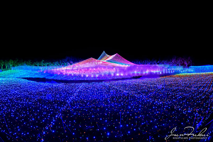 ななばの里 イルミネーション