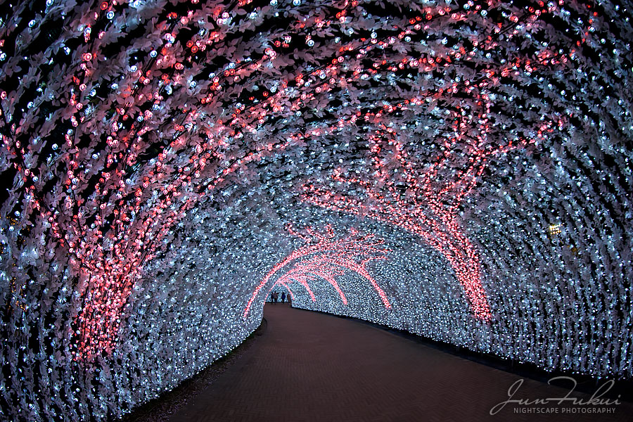 ななばの里 イルミネーション