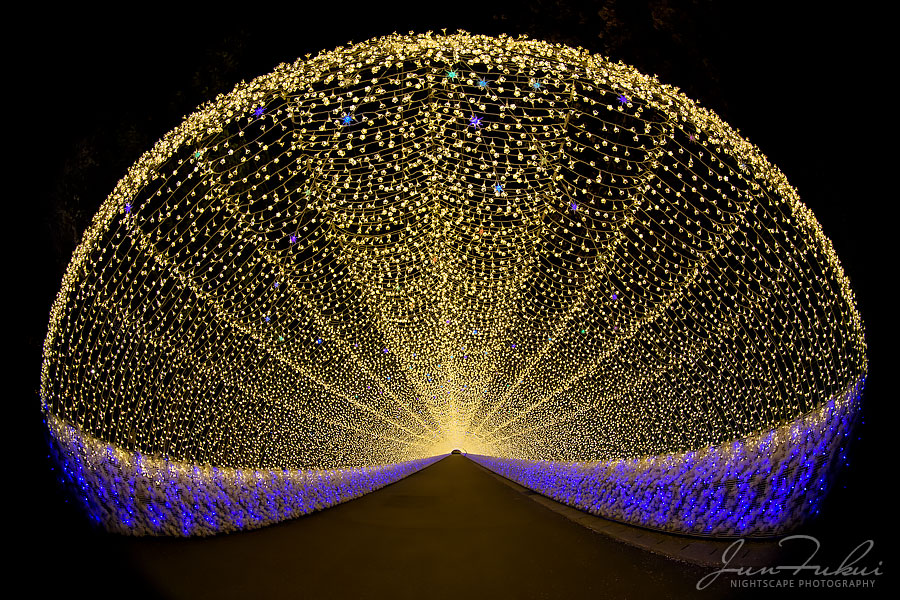 ななばの里 イルミネーション