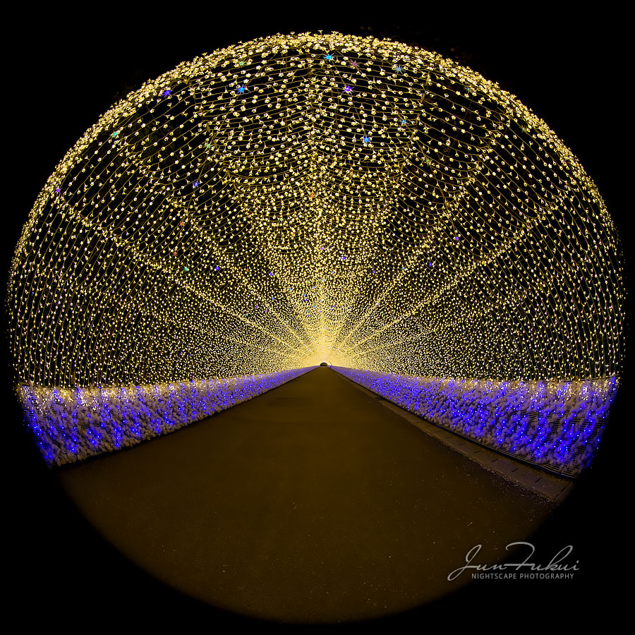 ななばの里 イルミネーション