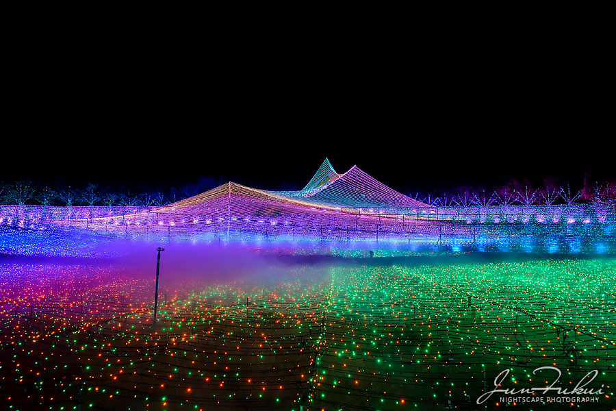 ななばの里 イルミネーション