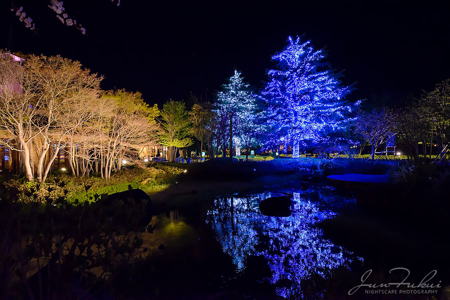 ななばの里 イルミネーション